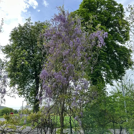 Tiny House Détente Nature La Maison Du Pêcheur * Pulligny