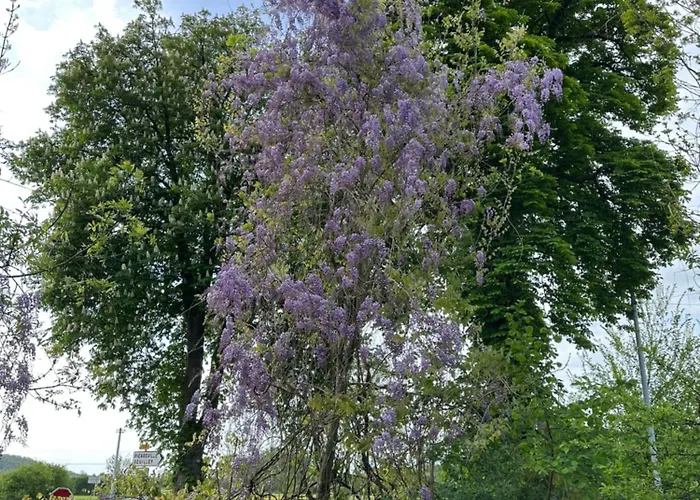 Tiny House Détente Nature La Maison Du Pêcheur * Pulligny